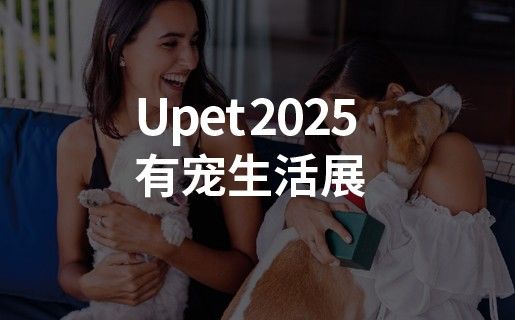 網(wǎng)站建設公司